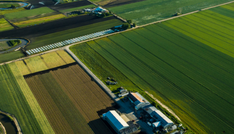 An overview of a farm surrounded by green grass